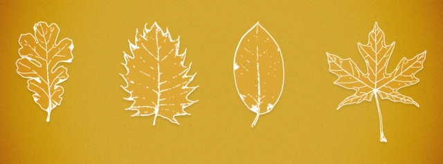 Vector Leaves